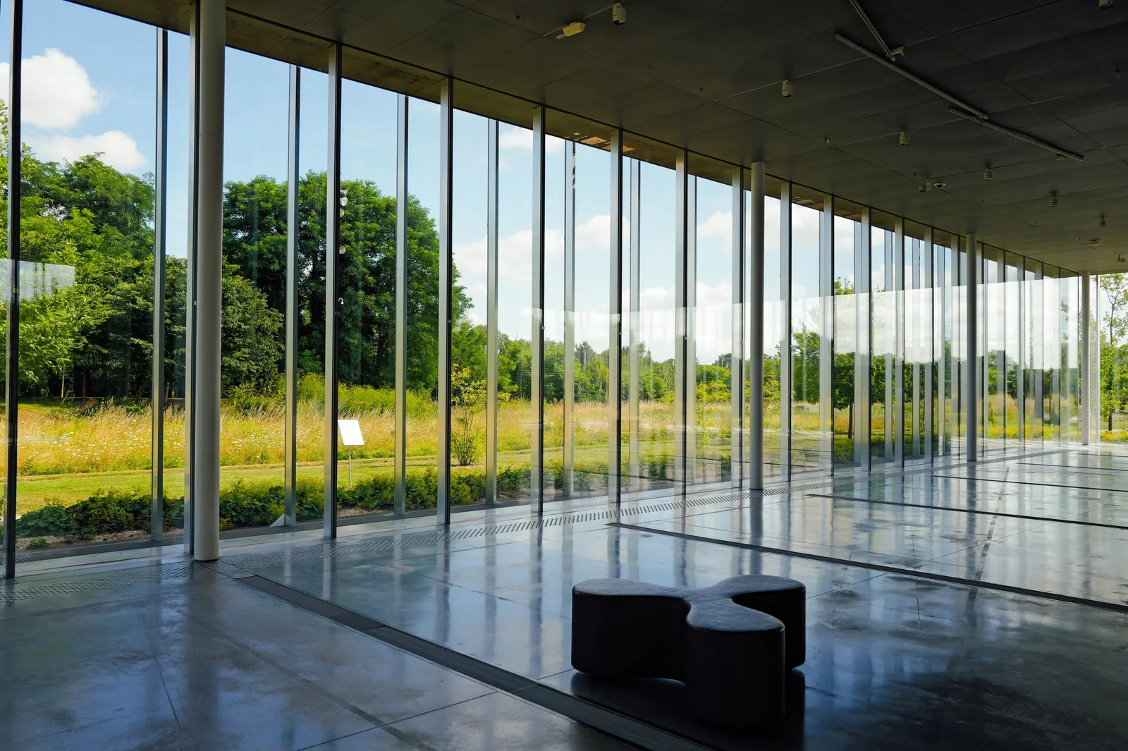 A sunlit office space with a wall of glass looking out over trees